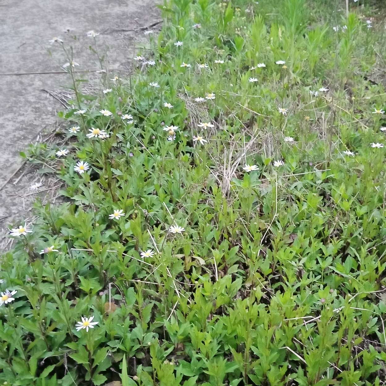 吐个槽，垫个脚，透过发丝的斜阳