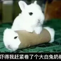 毒鸡汤