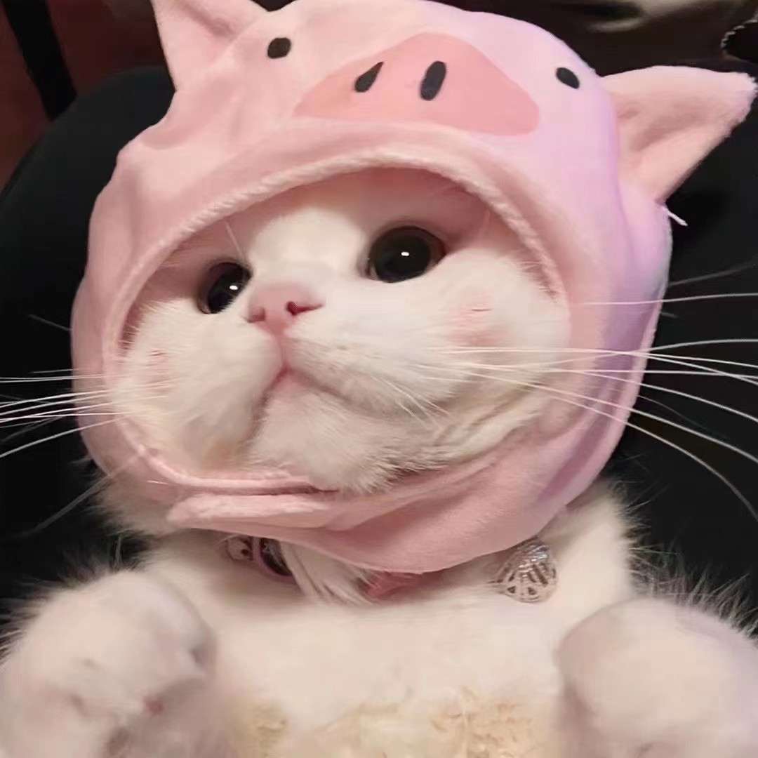 爱吃面包的小可爱🍰的专辑