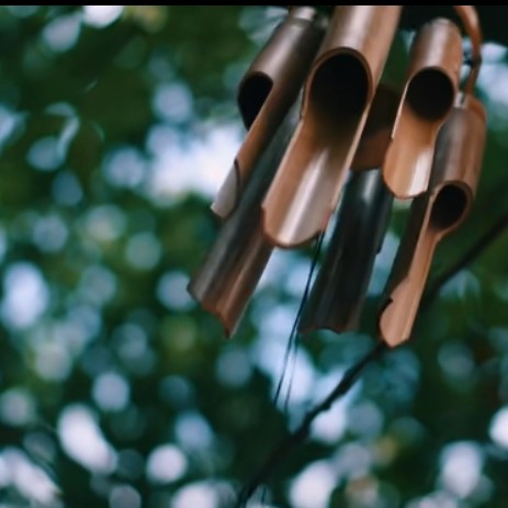 桾䎇【most原创】