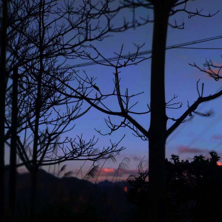 喜欢山还是喜欢海的专辑66