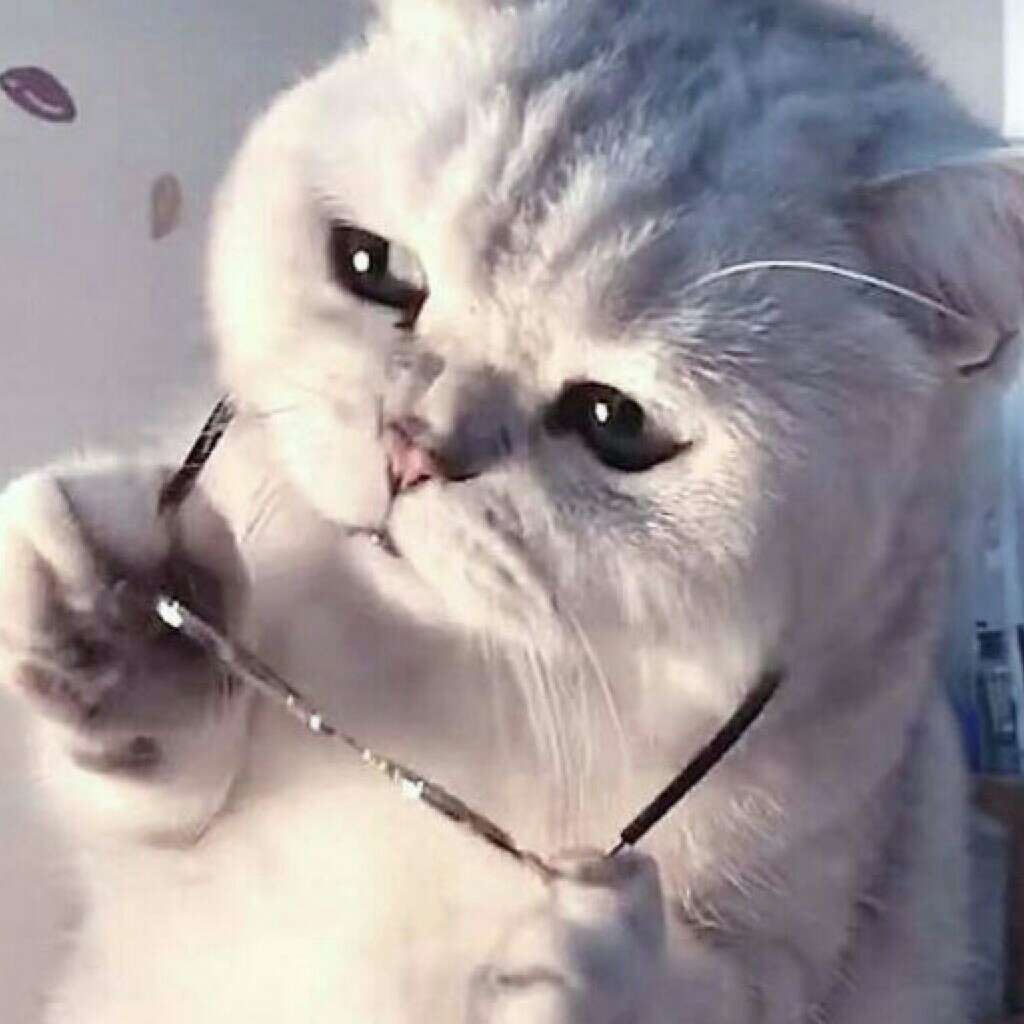 尘̶酒̶̶̶ꦿ̶̶̶̶̶̶᭄的专辑