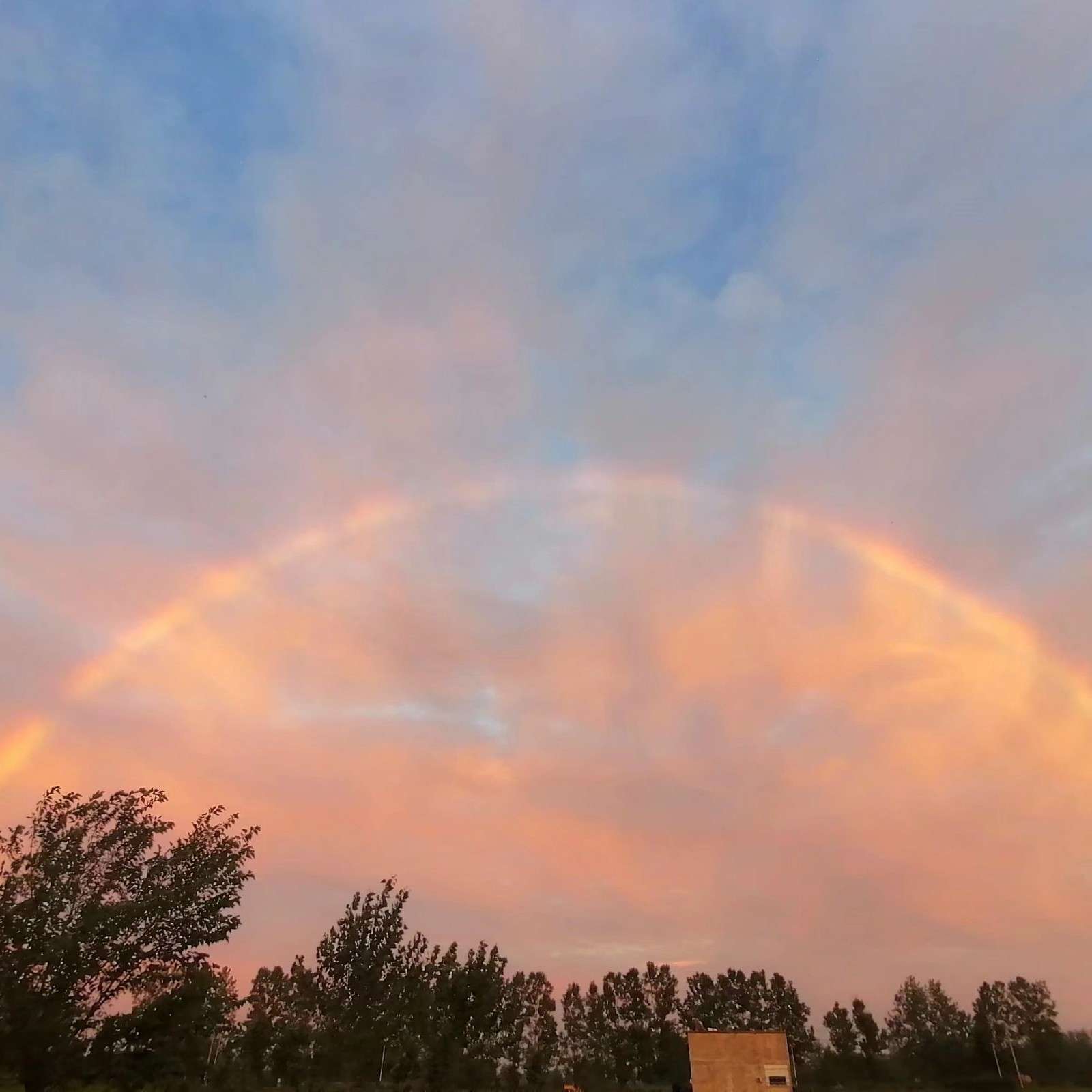 我看小说我做主