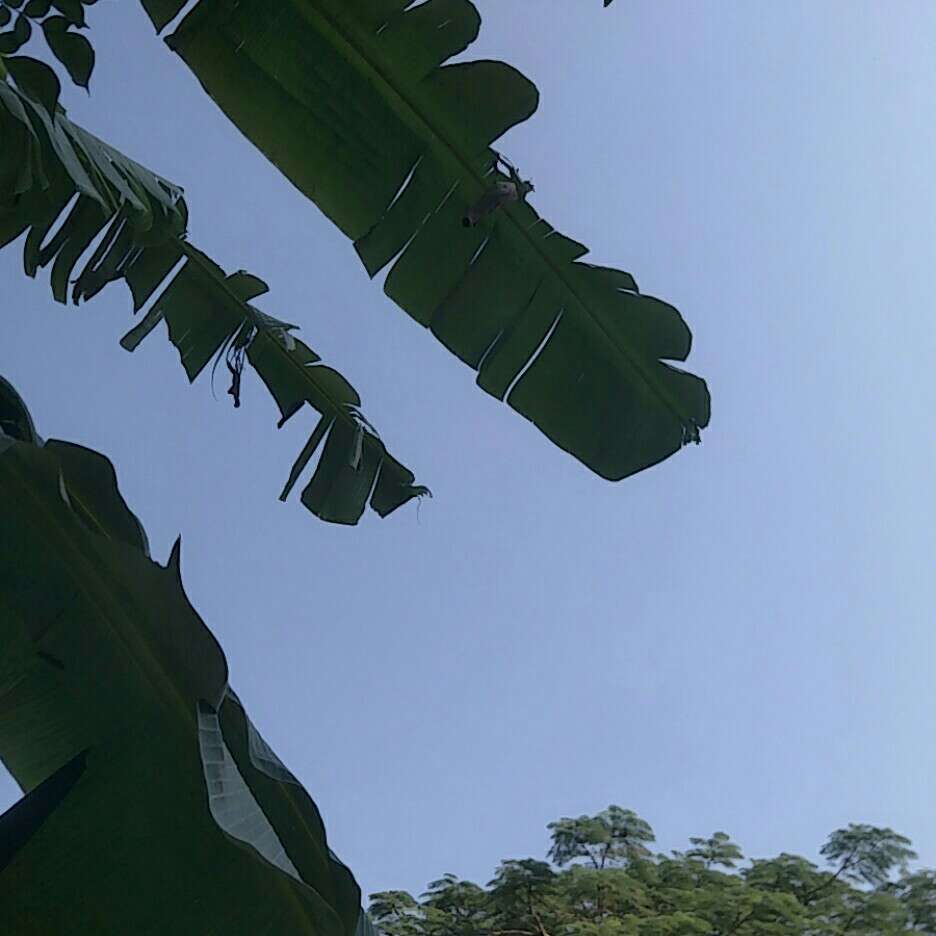 《我在逃生游戏里当万人迷》