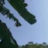 《我在逃生游戏里当万人迷》