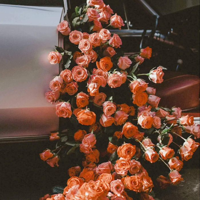 那些让人心尖儿一颤的情话