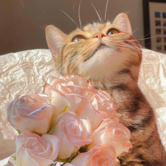 歇后语就是这个味