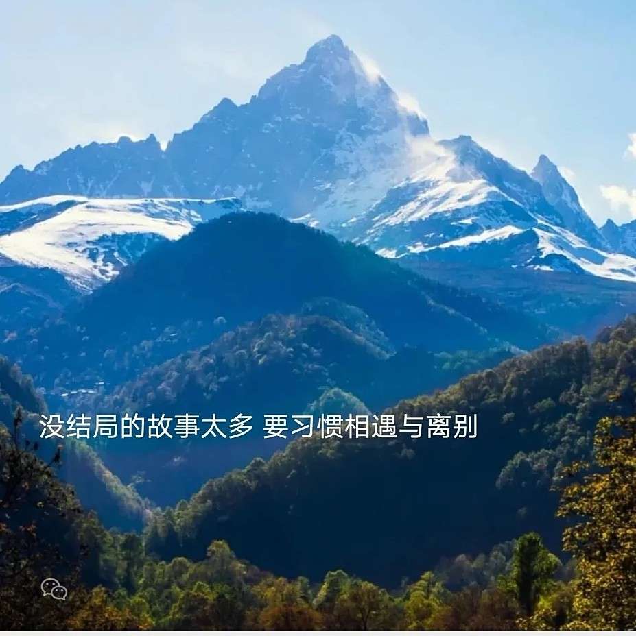 谢云桉的专辑