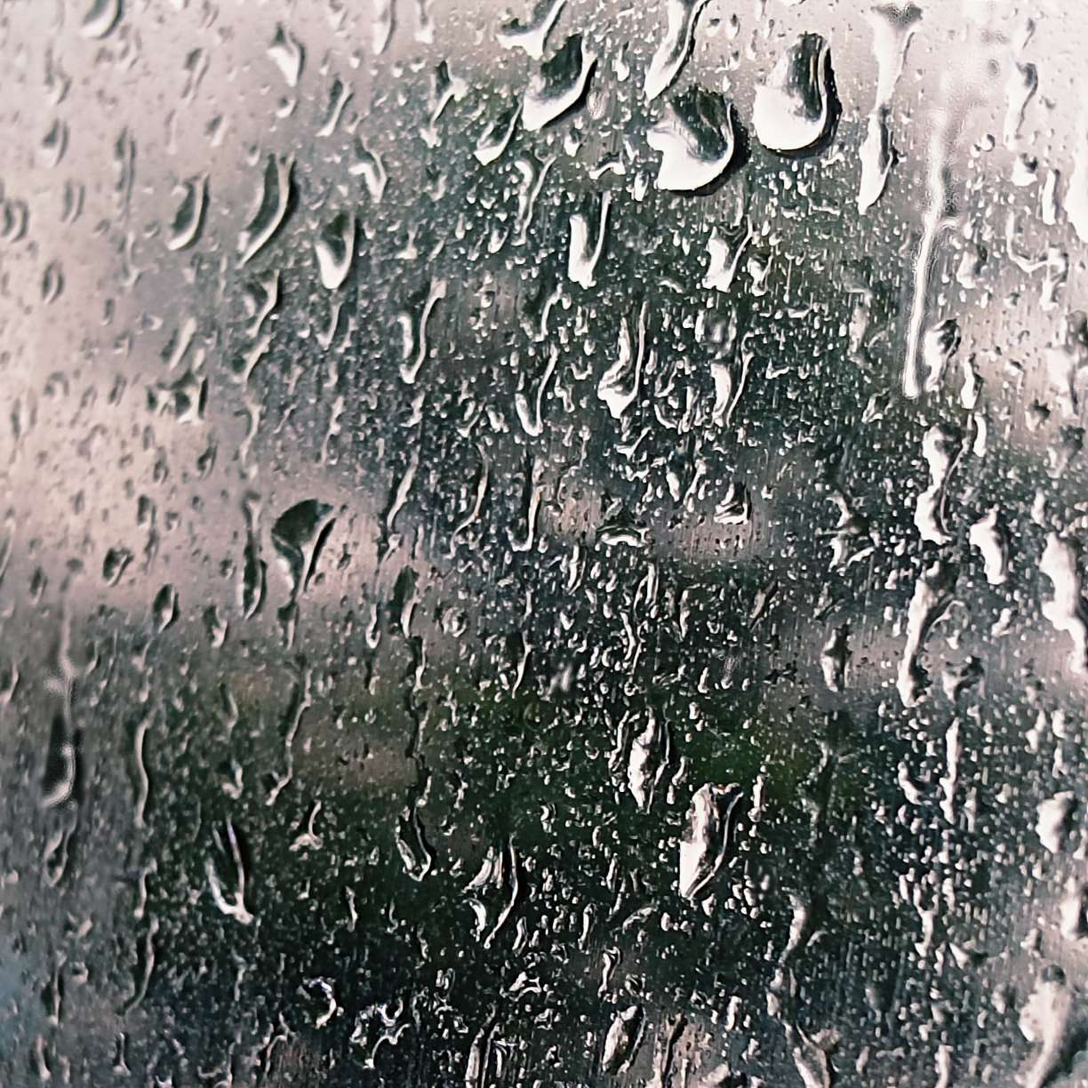 海豚便利店的专辑