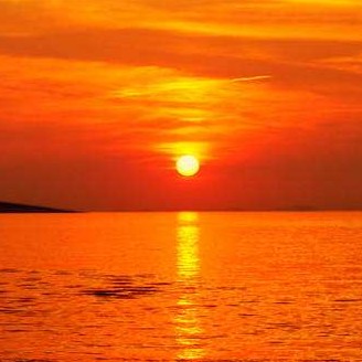 土味情话，表白神句