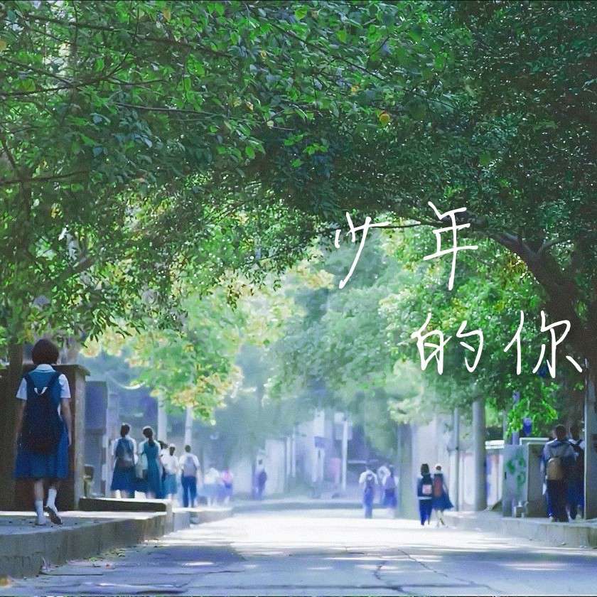 我们生活在阴沟里，到依然有人仰望星空