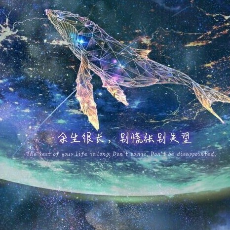 酸菜鱼vl的专辑