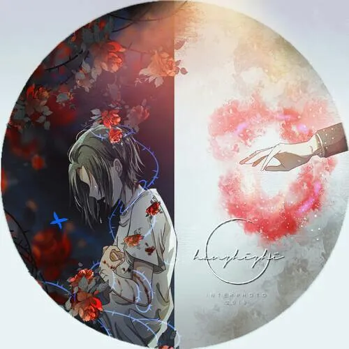 我只喜欢你的人设