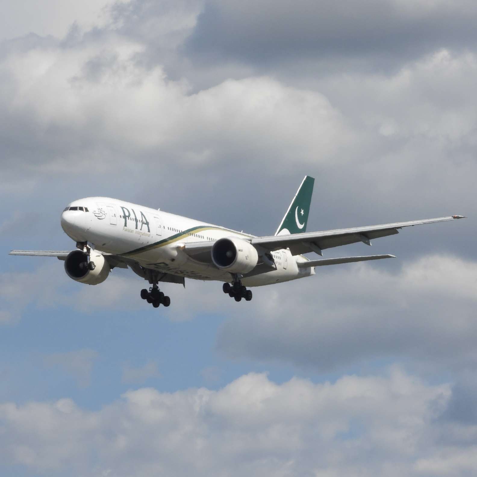 杂柒杂捌の温柔