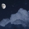 丧系感情文案