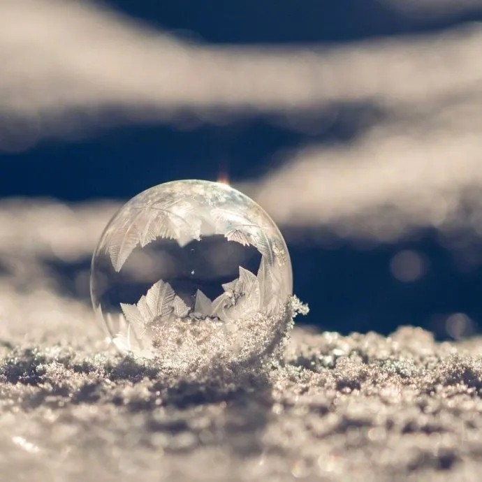 十年一品温如言