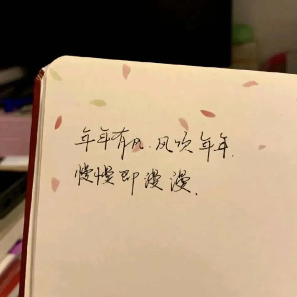 街知巷闻的爱意