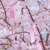 我有一杯酒，可以慰风尘