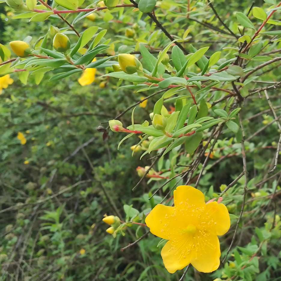 唯美的古诗词🌁