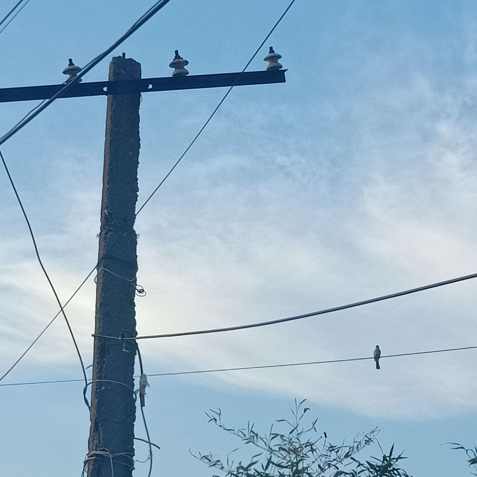 我在等，等＿＿