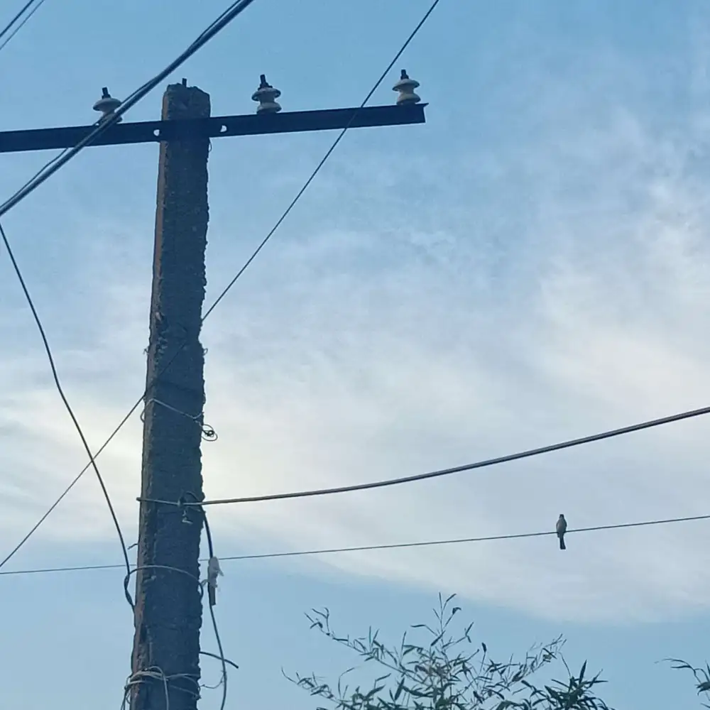 我在等，等＿＿