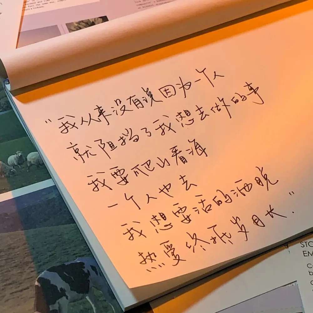 回忆小学（开头、结尾）