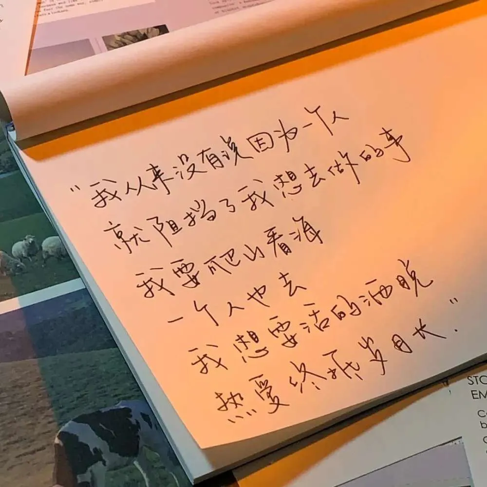 回忆小学（开头、结尾）