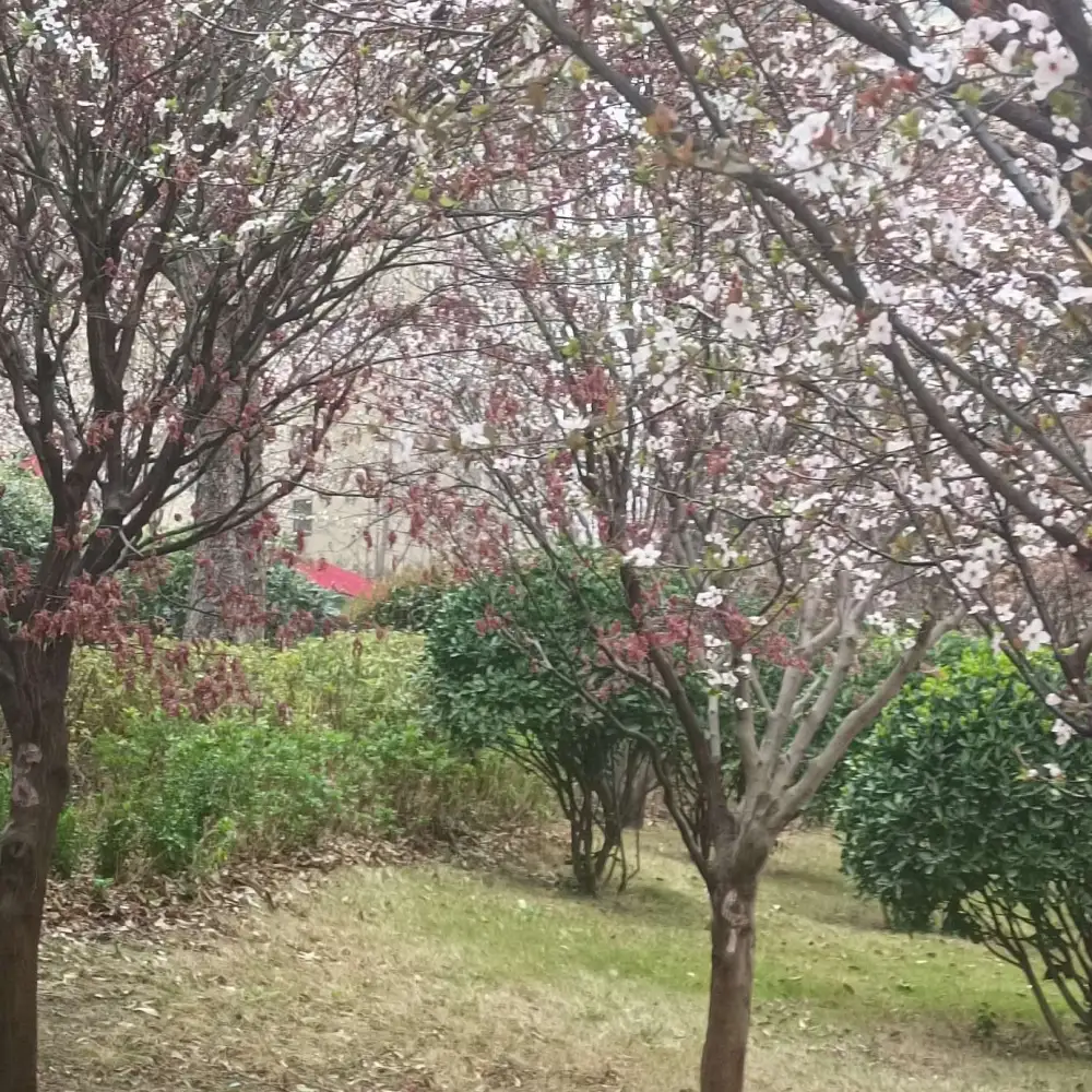 慢慢来