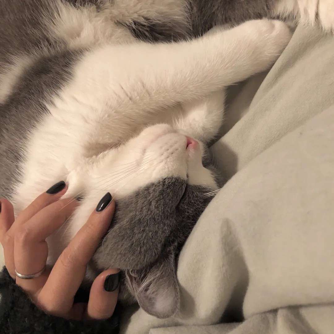 写给我最好的青春年华