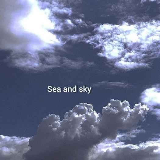 绵绵思远道🌿的收藏夹