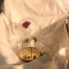 温柔