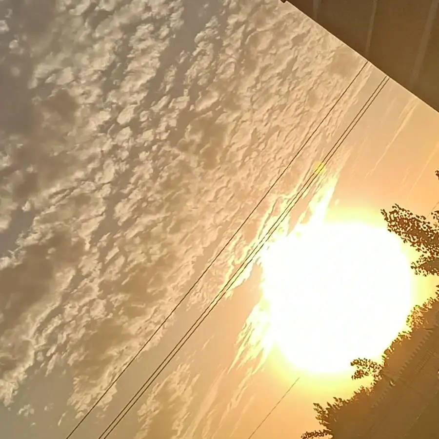爱
