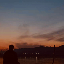 时光的树的专辑