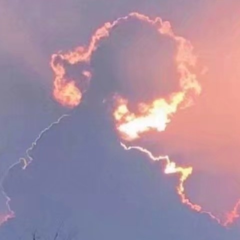 让小森静静的专辑