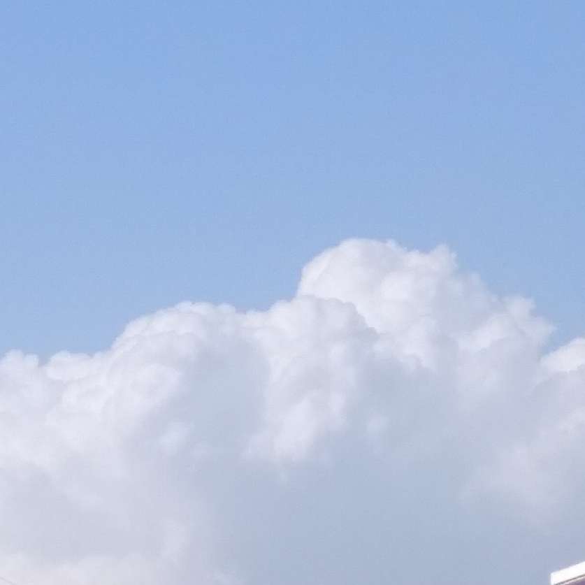 我尝尽人间烟火，却从未放下过你。