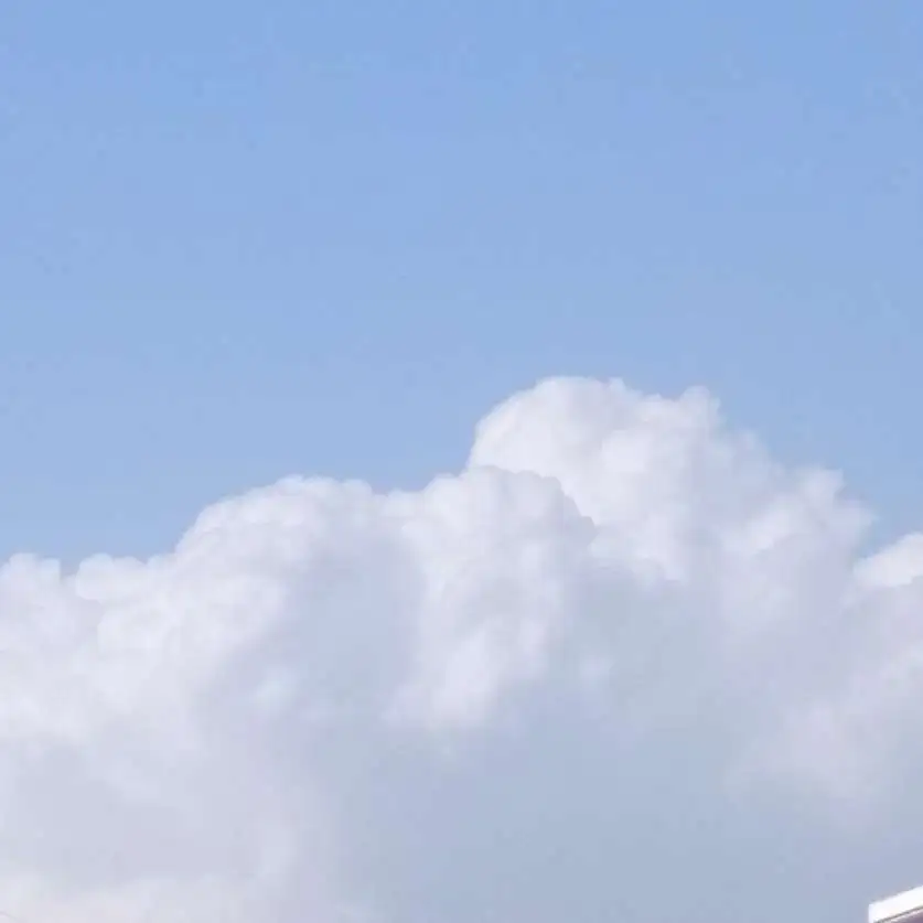 我尝尽人间烟火，却从未放下过你。