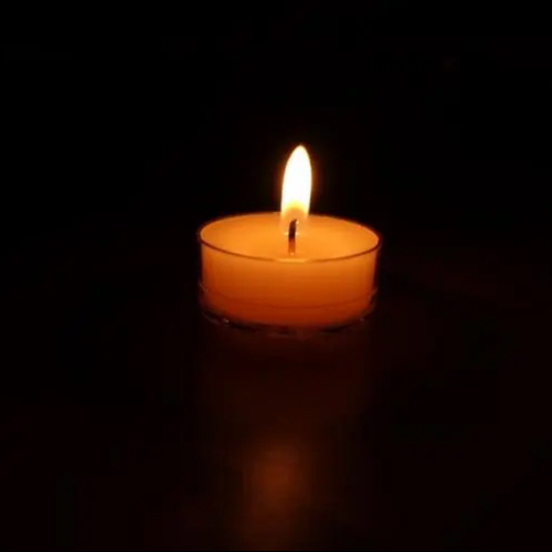 【感人肺腑】哲理与情感的碰撞