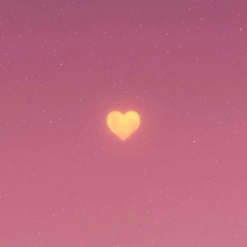 二哈和他的白猫师尊