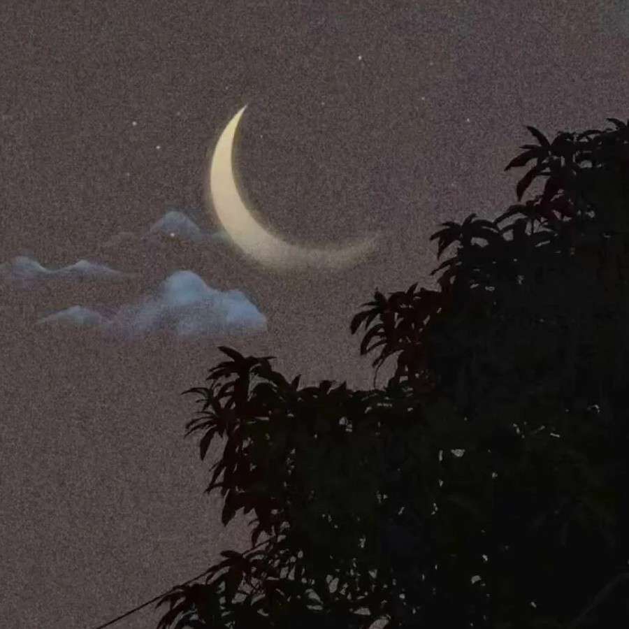 啊波呲的额佛格