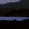 田田的夏天