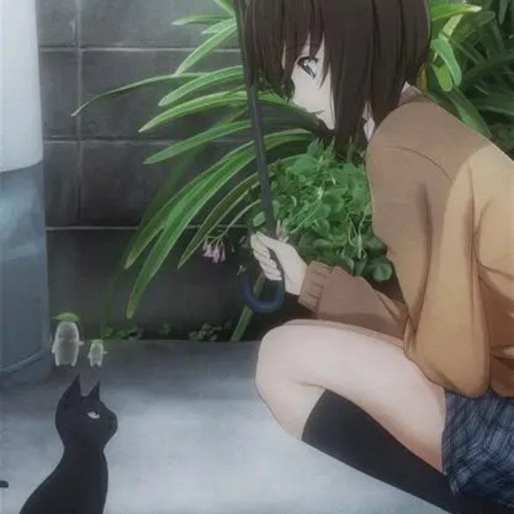 调皮的汪汪的专辑