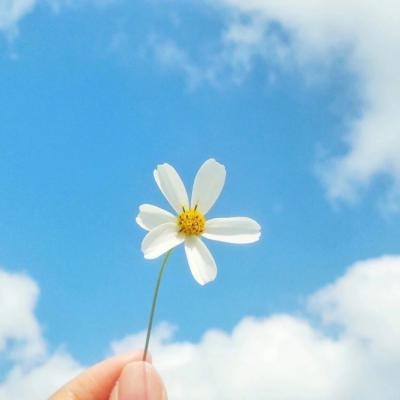 这点喜欢不成敬意