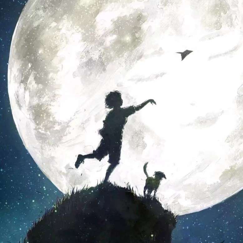 梦想是那下雨天还要打的球