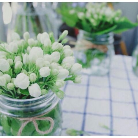 身后花开成雪月光下不凋谢