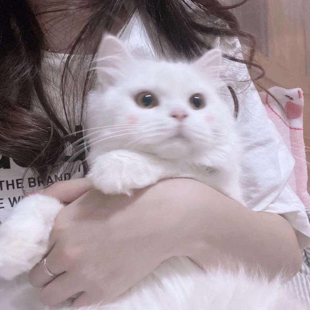 小熊在我这噢.的专辑