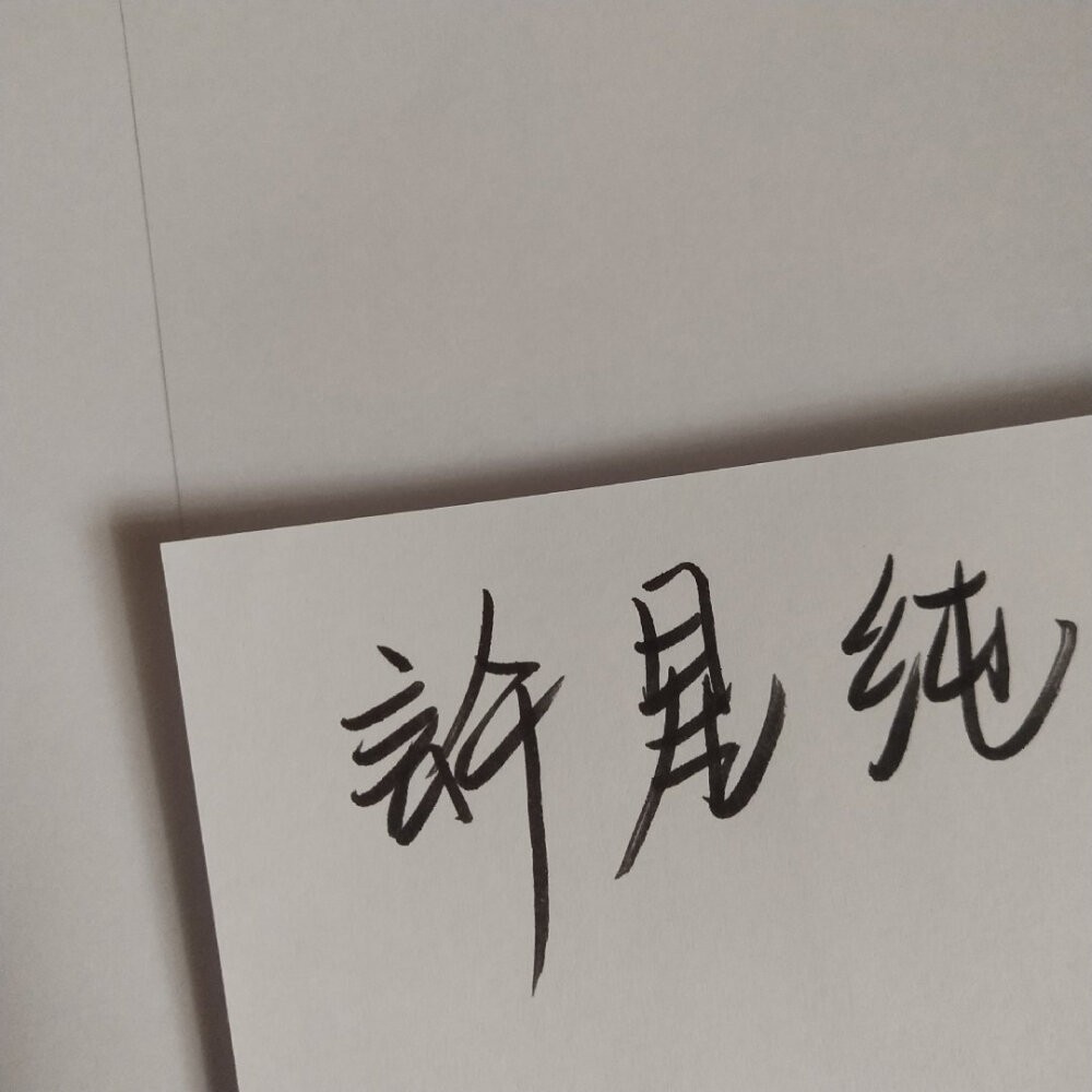 《等风轻抚你》唧唧的猫