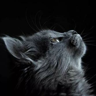 关于那些小诗……