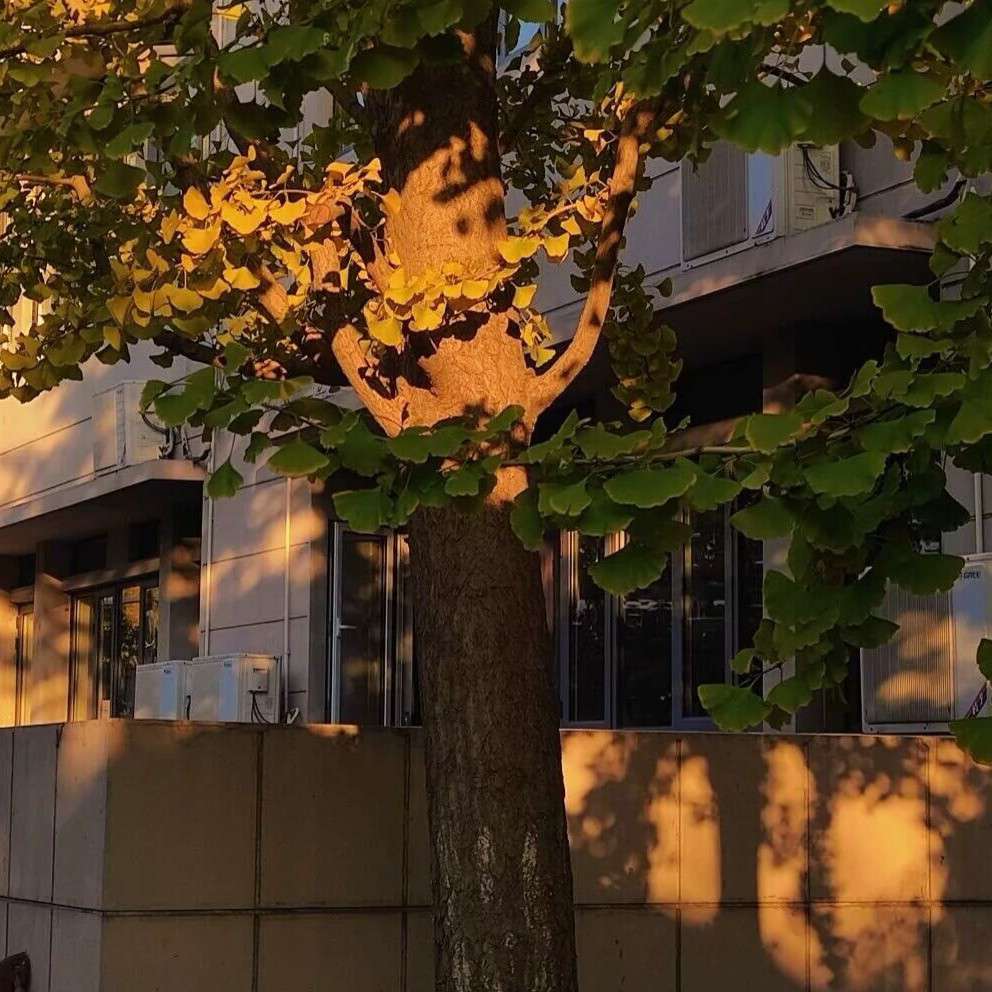 永远温柔的语录