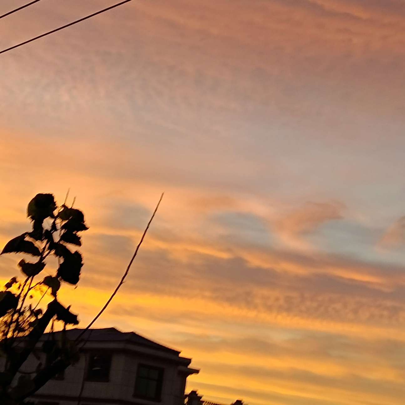 与其精神内耗自己，不如发疯外耗别人