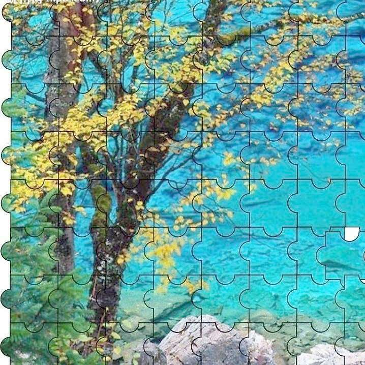 三潭印月的专辑